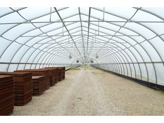 Property photo 58 - GREENHOUSE FARM AUCTION IN HENRY COUNTY, OHIO